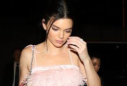 Ostrich Feather & Silk Chiffon Bralette