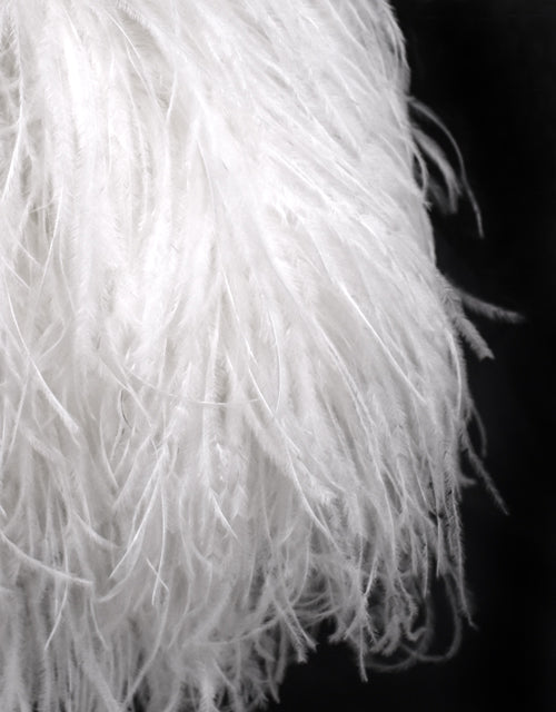 Ostrich Feather Purse with Pearl Beaded Handle